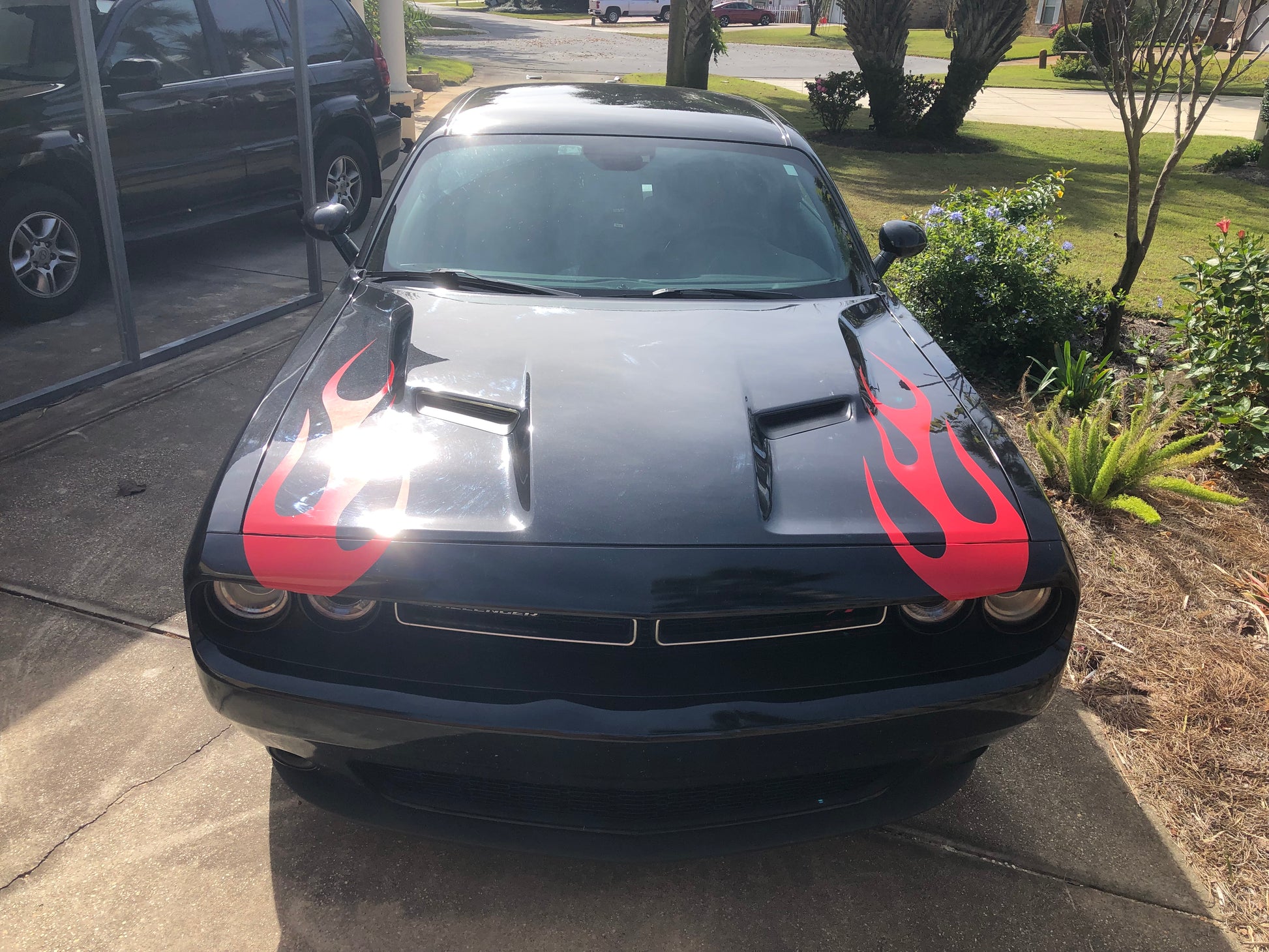 Flame Vinyl Graphic Universal Fit 12" x 40" Pair of 2 Fits All Cars - Reflective Pro